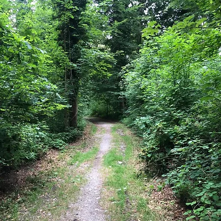 Am Ardetzenberg Apartment *