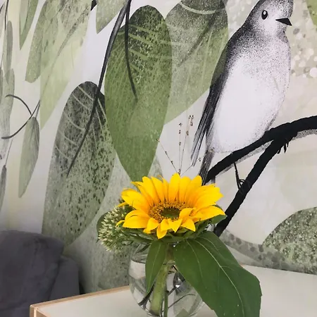 Am Ardetzenberg Feldkirch