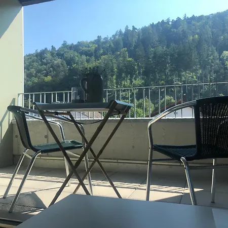 Am Ardetzenberg Apartment *