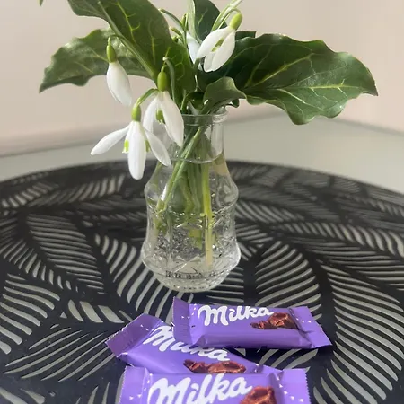 Apartment Am Ardetzenberg *