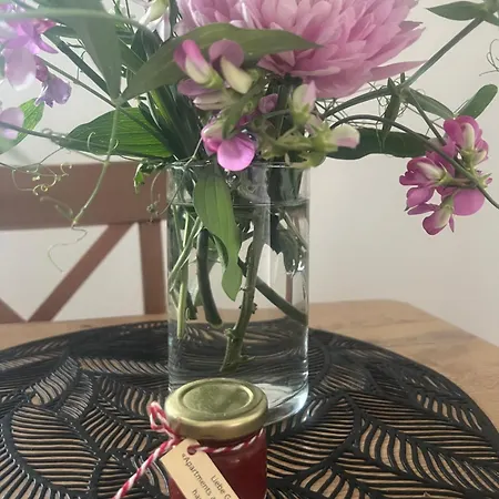 Am Ardetzenberg Apartment Feldkirch